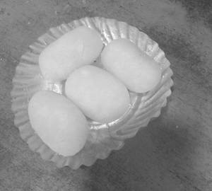 White Cham Cham 