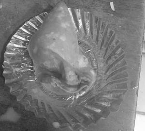 Samosa