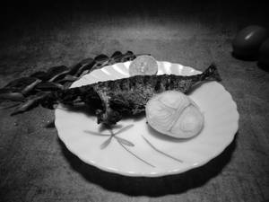 Ayala Fry (mackerel Fry)