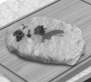 Malaikari