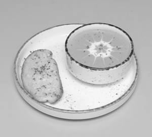 Cream Of Mushroom Soup