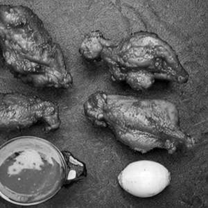 Chicken Parts