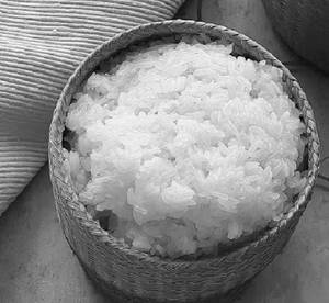 Sticky Rice Tub