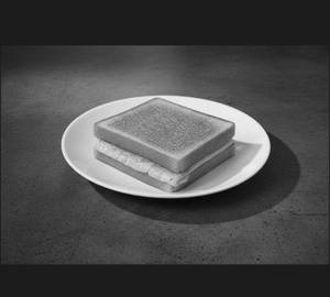 Plain Omelette Sandwich [2 Slices]