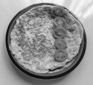 Special desi omlette [2 egg]