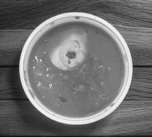 Coariander Egg Curry