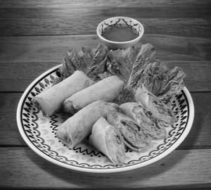 Apollo Fish Spring Roll