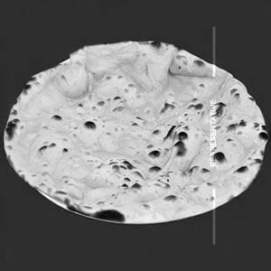 Garlic Roti