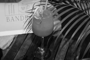 Watermelon Mojito