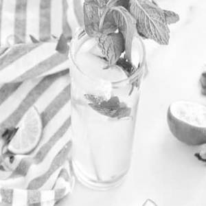 Vintage Lime Mojito
