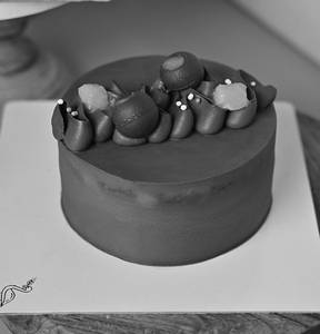 Mango Chocolate Cake