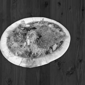 Single Ragda Pettis (Desi Ghee Fry)