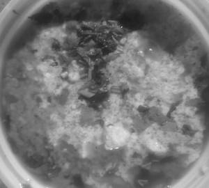 Dahi Fry