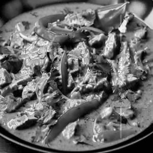 Green Thai Chicken Curry Shredded