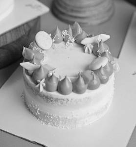 Mango Tropical Cake