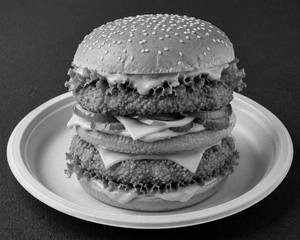 Double Deck Chicken Burger