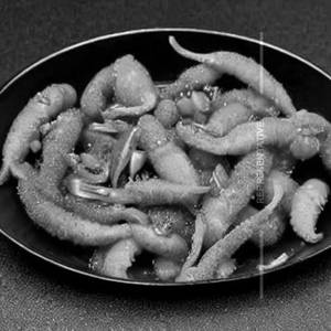 Squids Golden Fried