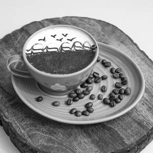 Vanilla Coffee [350 Ml]