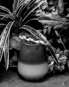 Mango Cold Brew