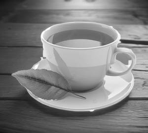 Special Chai