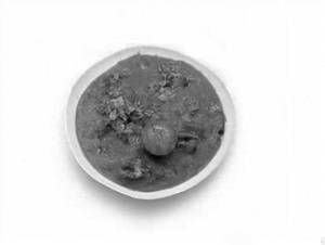 Mushroom Masala