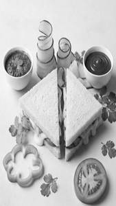Veg Cheese Sandwich