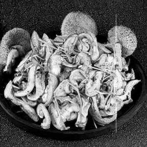 Boti Mushroom
