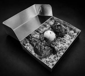 Chicken Fry Biryani