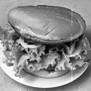 Chicken sandwich