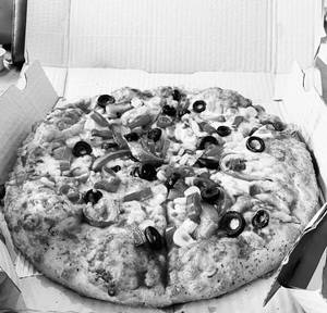 Veggie Paradise