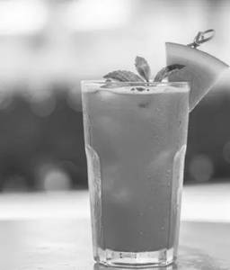 Watermelon Mojito