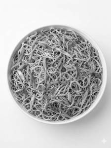 Hakka Noodles