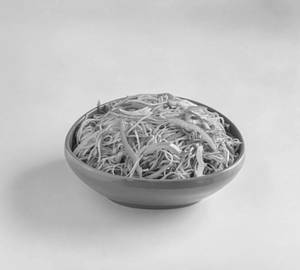 Veg Hakka Noodles