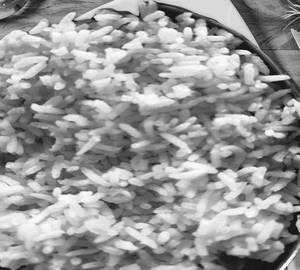 Plain Rice