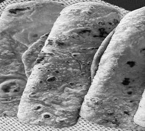 Plain Roti