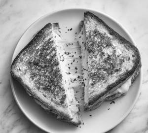 Cheese Sandwich