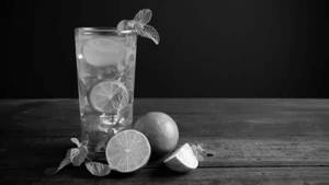 Lime & Lemon Virgin Mojito
