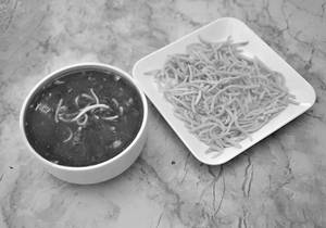 Chicken Noodle Soup