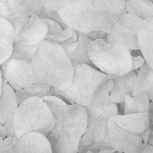 Salted Chips 100gms Pkt