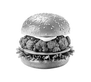 Spicy Chicken Burger