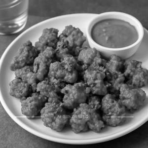 Gobi65