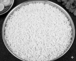 Plain Rice
