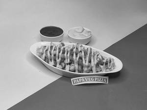Loaded Cheese Veg Kebab Fries