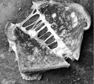 Special Sandwich 2pcs