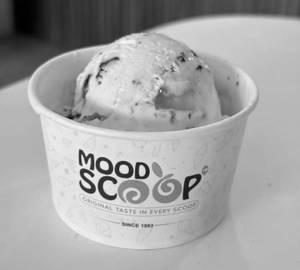 American Dry Fruits Fusion Ice Cream [1 Scoop]