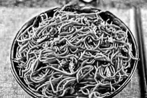 Chicken Schezwan Noodles