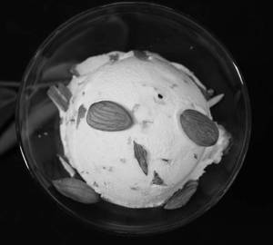 Roasted Almond