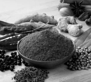 Fish masala (40 gram)