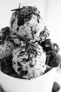 Black forest (1 scoop)