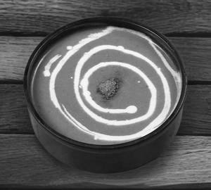 Palak Soup